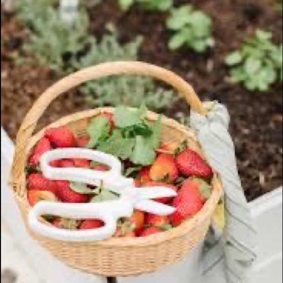 *Summer 🌞 2022 Jilly ❤️ Box Items - Picture 5 of 5